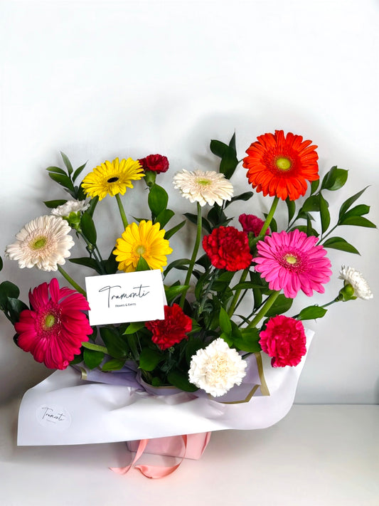 Gerbera Meadow