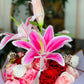 Sweetie pink bouquet