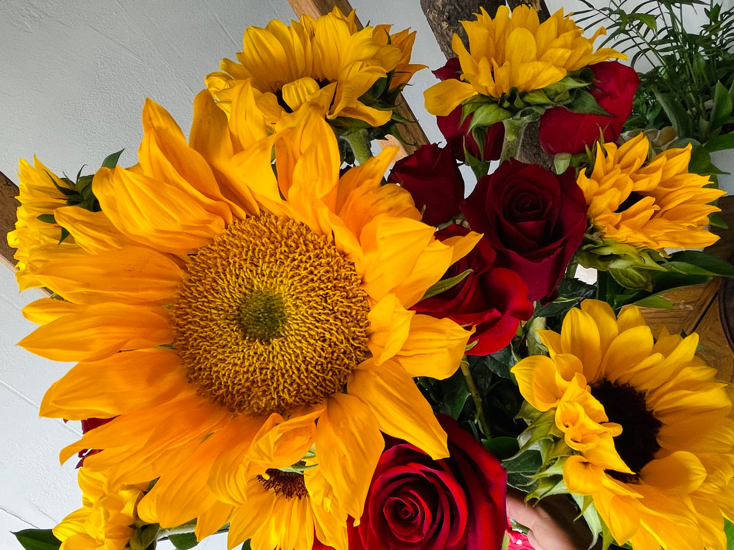 Ballet of Crimson Roses and Sunflowers