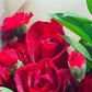 Love is in the air - Tramonti Flowers & Events